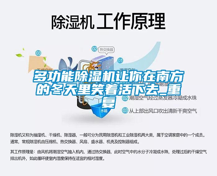 多功能除濕機讓你在南方的冬天里笑著活下去_重復