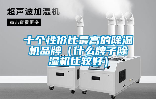 十個性價比最高的除濕機品牌（什么牌子除濕機比較好）