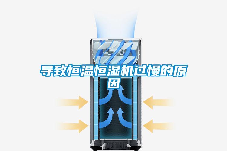 導致恒溫恒濕機過慢的原因