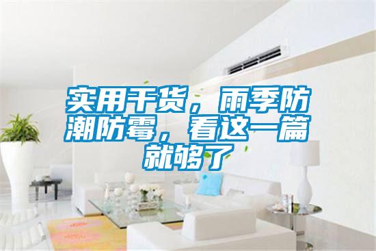 實用干貨，雨季防潮防霉，看這一篇就夠了