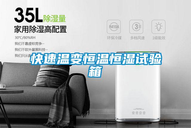 快速溫變恒溫恒濕試驗(yàn)箱