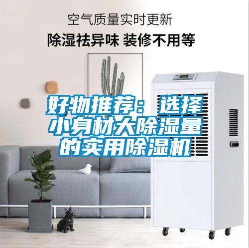 好物推薦：選擇小身材大除濕量的實用除濕機