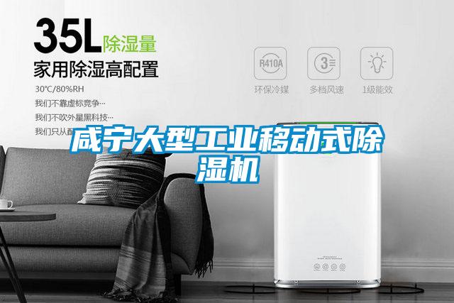 咸寧大型工業(yè)移動(dòng)式除濕機(jī)