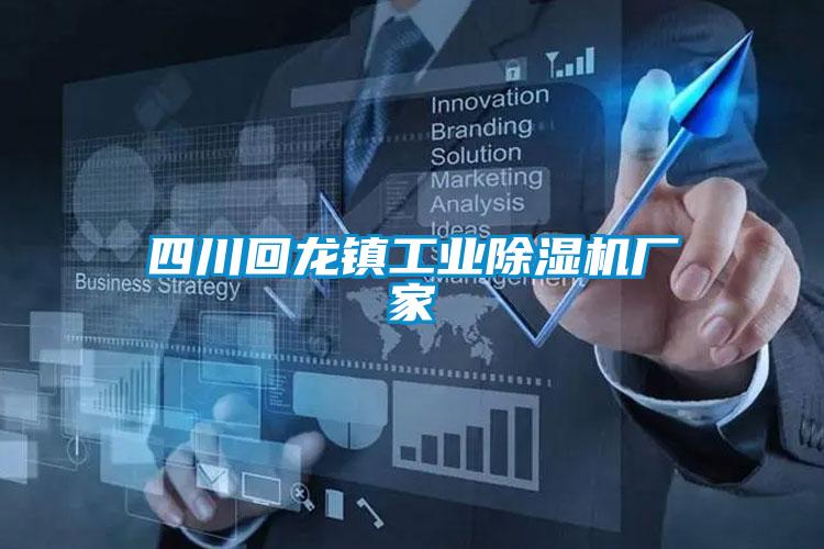 四川回龍鎮(zhèn)工業(yè)除濕機廠家