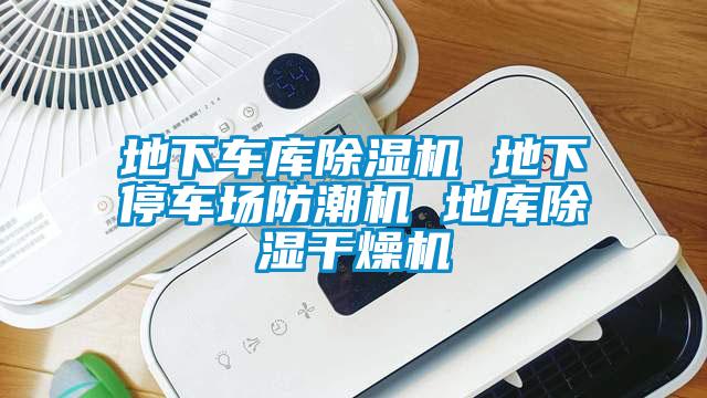 地下車庫除濕機 地下停車場防潮機 地庫除濕干燥機