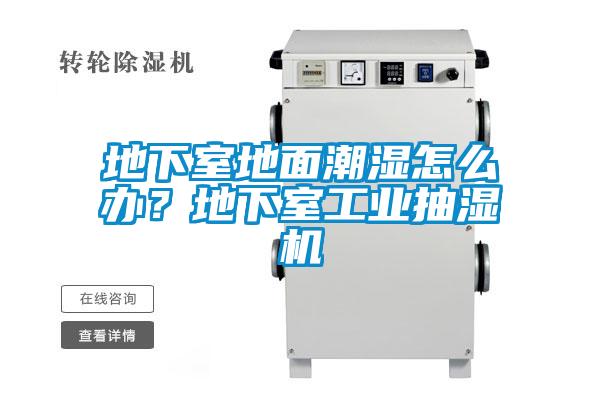 地下室地面潮濕怎么辦？地下室工業(yè)抽濕機