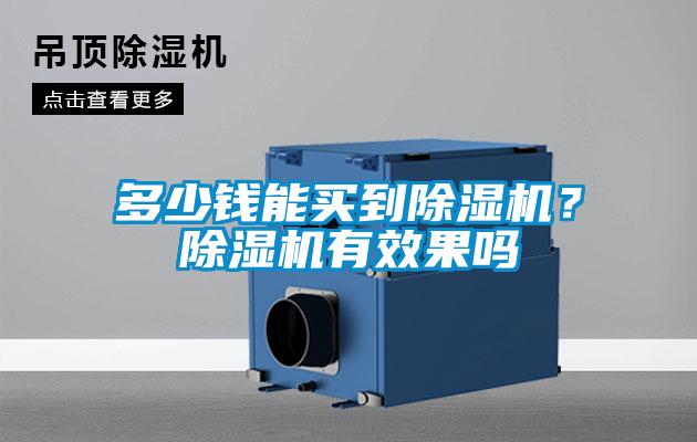 多少錢能買到除濕機？除濕機有效果嗎
