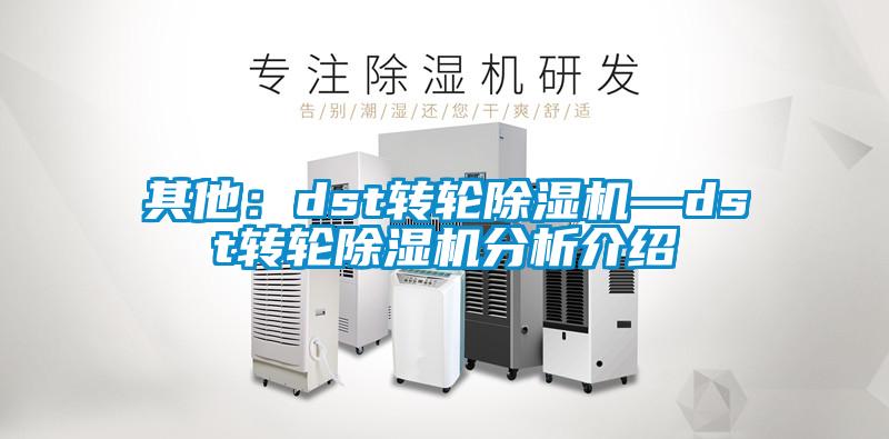 其他：dst轉(zhuǎn)輪除濕機(jī)—dst轉(zhuǎn)輪除濕機(jī)分析介紹
