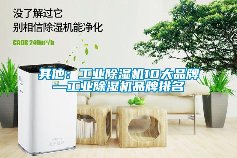 其他：工業(yè)除濕機(jī)10大品牌—工業(yè)除濕機(jī)品牌排名