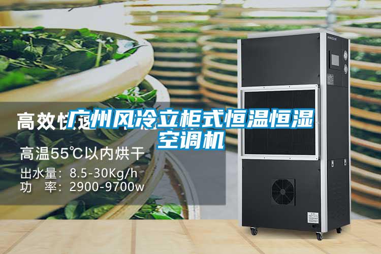廣州風冷立柜式恒溫恒濕空調機