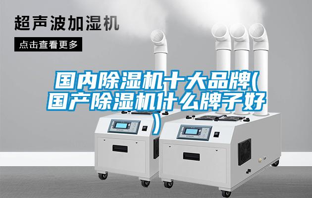 國內除濕機十大品牌(國產除濕機什么牌子好)