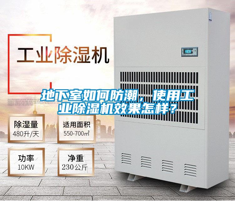 地下室如何防潮，使用工業除濕機效果怎樣？