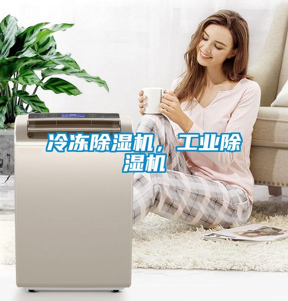 冷凍除濕機(jī)，工業(yè)除濕機(jī)