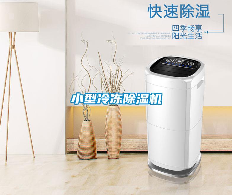 小型冷凍除濕機(jī)