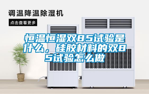 恒溫恒濕雙85試驗是什么，硅膠材料的雙85試驗怎么做