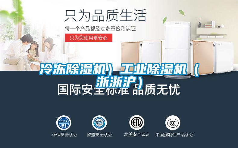 冷凍除濕機）工業除濕機（浙浙滬）