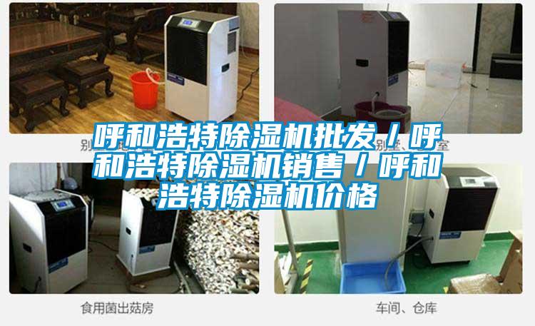 呼和浩特除濕機批發／呼和浩特除濕機銷售／呼和浩特除濕機價格