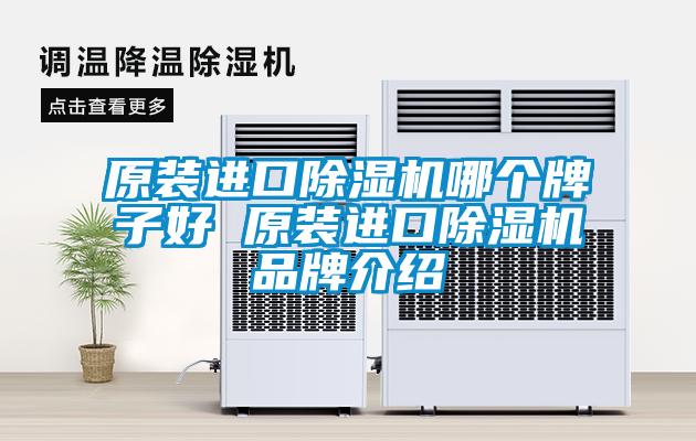 原裝進口除濕機哪個牌子好 原裝進口除濕機品牌介紹