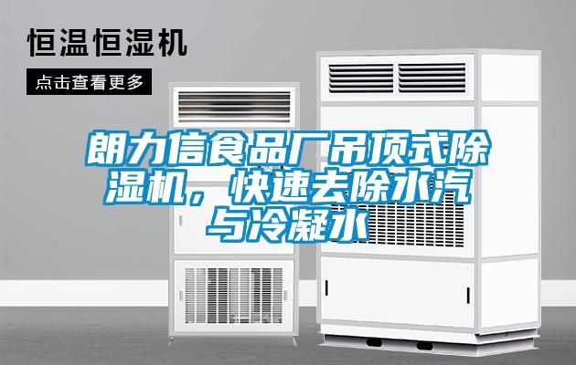 朗力信食品廠吊頂式除濕機(jī)，快速去除水汽與冷凝水