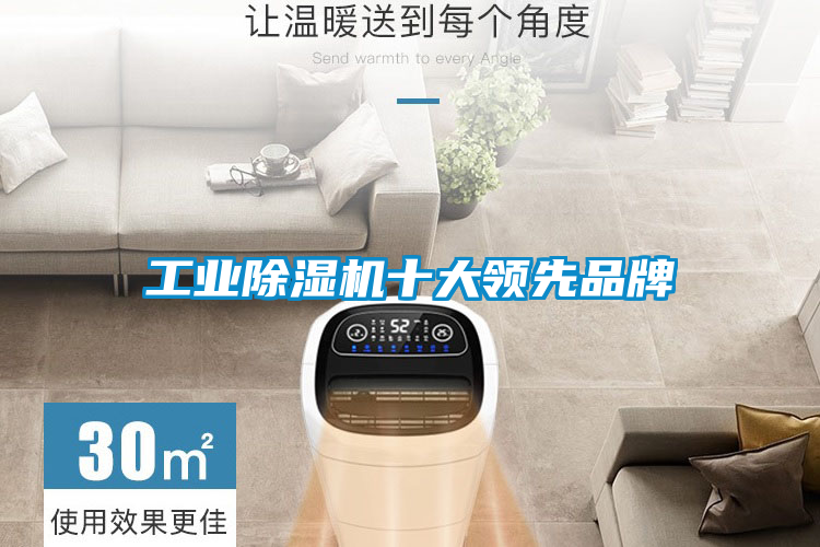 工業除濕機十大領先品牌