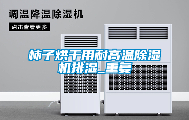 柿子烘干用耐高溫除濕機(jī)排濕_重復(fù)