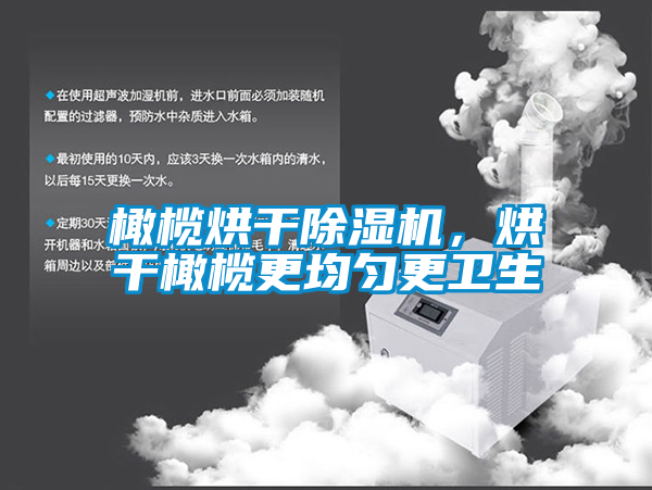 橄欖烘干除濕機，烘干橄欖更均勻更衛生