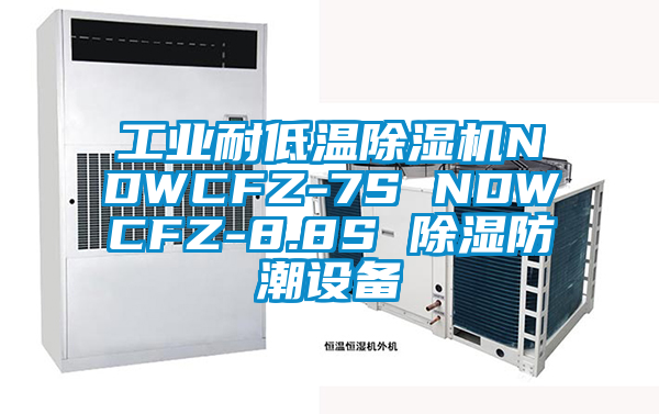 工業耐低溫除濕機NDWCFZ-7S NDWCFZ-8.8S 除濕防潮設備