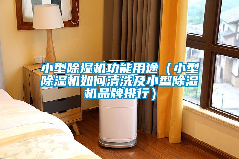 小型除濕機(jī)功能用途（小型除濕機(jī)如何清洗及小型除濕機(jī)品牌排行）