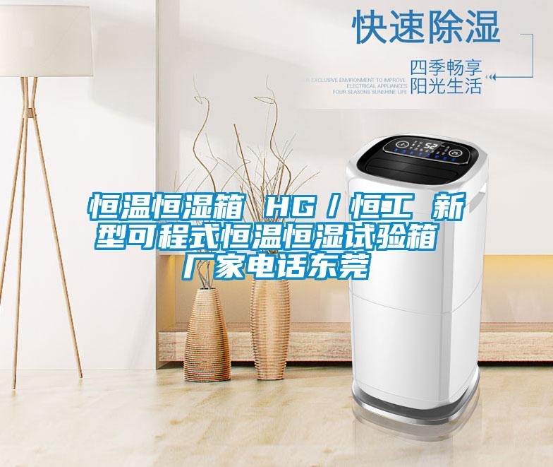 恒溫恒濕箱 HG／恒工 新型可程式恒溫恒濕試驗箱 廠家電話東莞