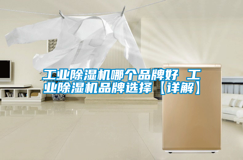 工業除濕機哪個品牌好 工業除濕機品牌選擇【詳解】