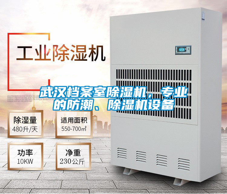 武漢檔案室除濕機(jī)，專業(yè)的防潮、除濕機(jī)設(shè)備