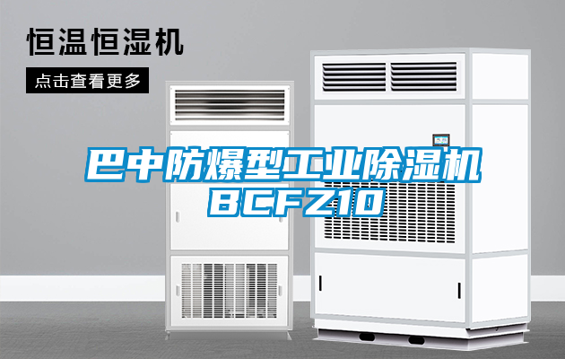巴中防爆型工業除濕機 BCFZ10
