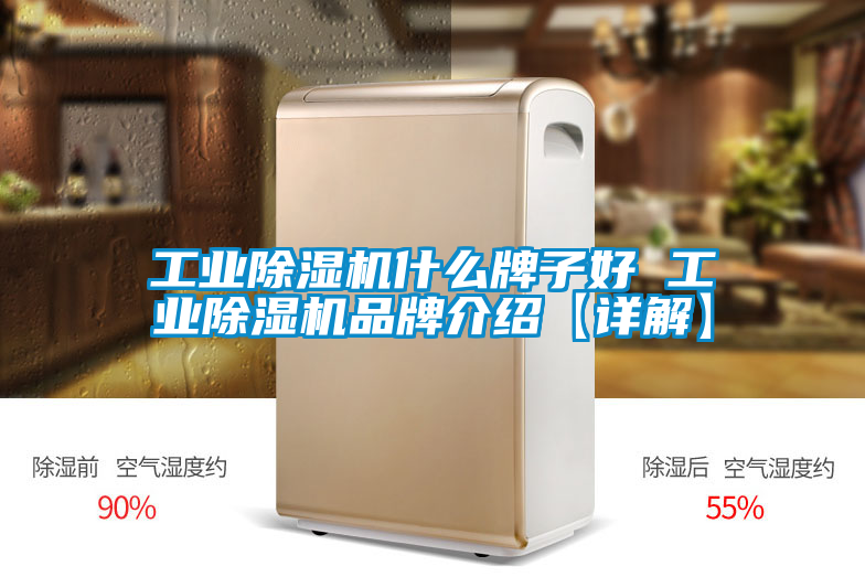 工業(yè)除濕機什么牌子好 工業(yè)除濕機品牌介紹【詳解】