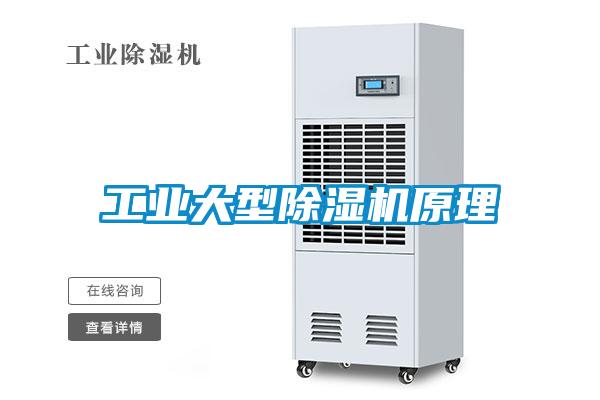 工業大型除濕機原理