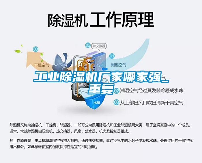 工業除濕機廠家哪家強_重復