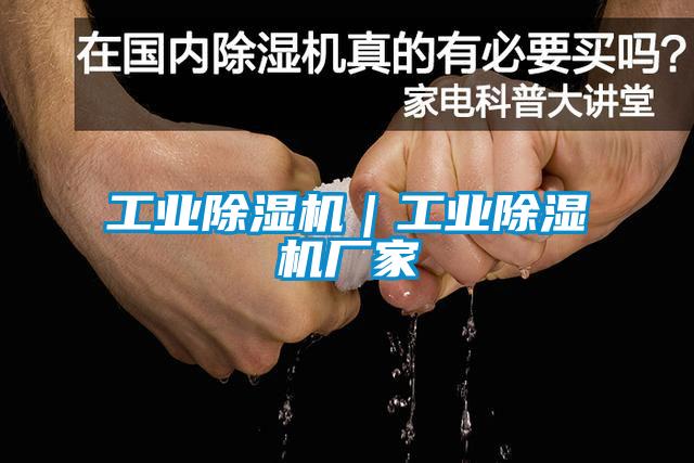 工業(yè)除濕機｜工業(yè)除濕機廠家