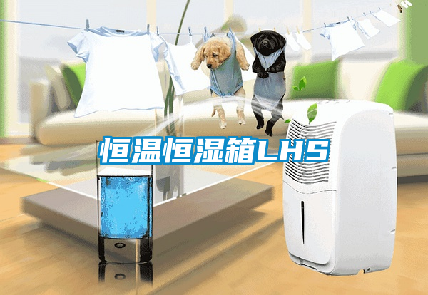 恒溫恒濕箱LHS
