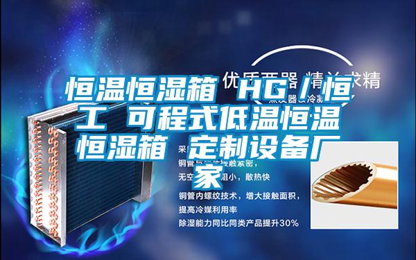 恒溫恒濕箱 HG／恒工 可程式低溫恒溫恒濕箱 定制設(shè)備廠家