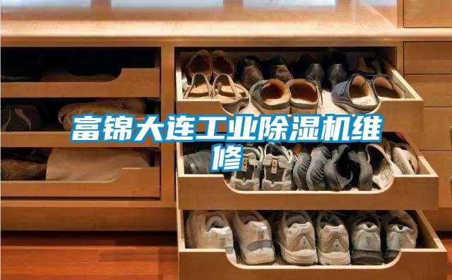 富錦大連工業(yè)除濕機(jī)維修