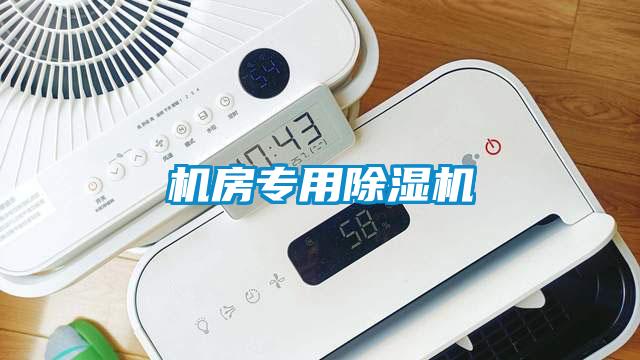 機(jī)房專用除濕機(jī)