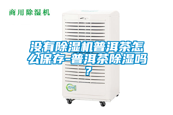 沒有除濕機普洱茶怎么保存-普洱茶除濕嗎？