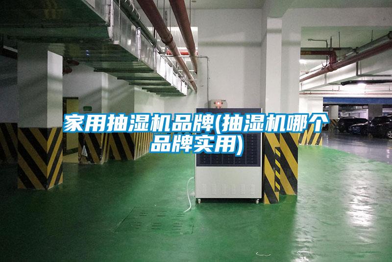 家用抽濕機品牌(抽濕機哪個品牌實用)