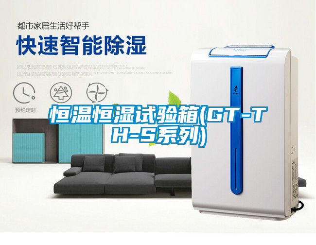 恒溫恒濕試驗(yàn)箱(GT-TH-S系列)
