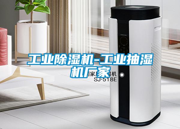 工業(yè)除濕機-工業(yè)抽濕機廠家