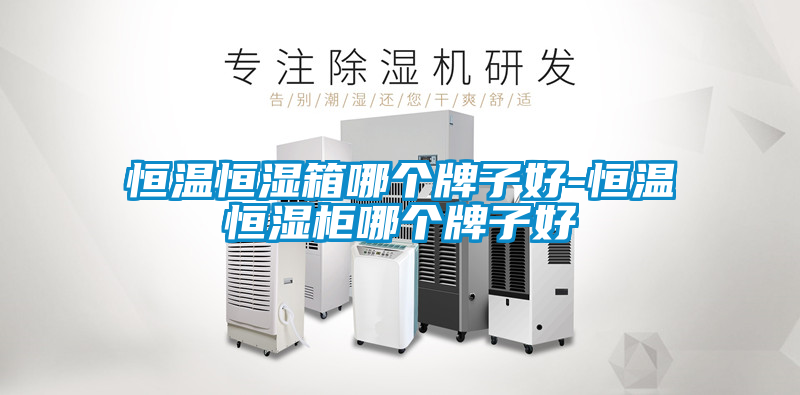 恒溫恒濕箱哪個牌子好-恒溫恒濕柜哪個牌子好