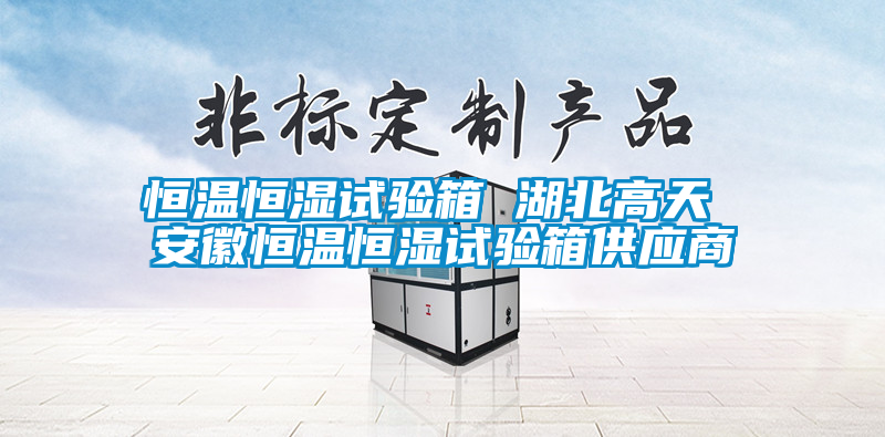 恒溫恒濕試驗箱 湖北高天 安徽恒溫恒濕試驗箱供應商