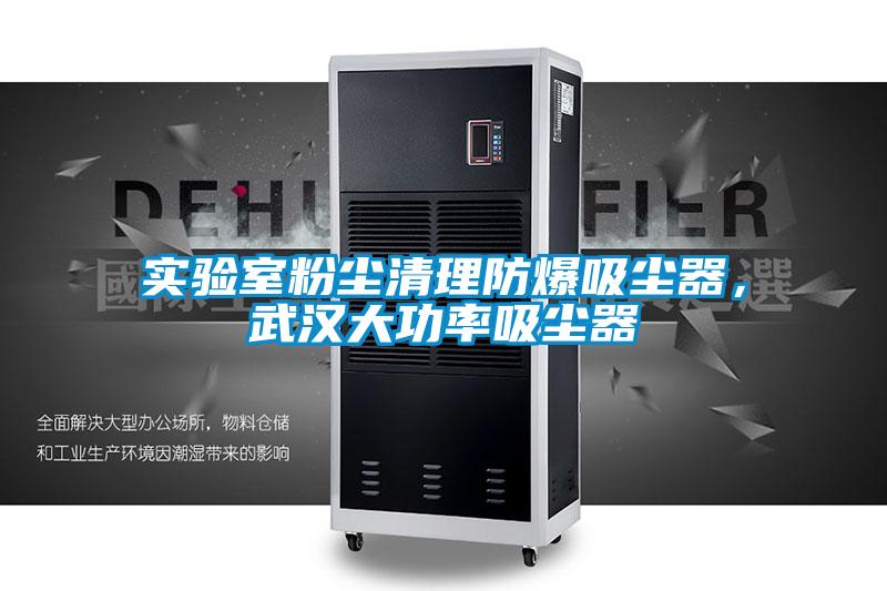 實驗室粉塵清理防爆吸塵器，武漢大功率吸塵器