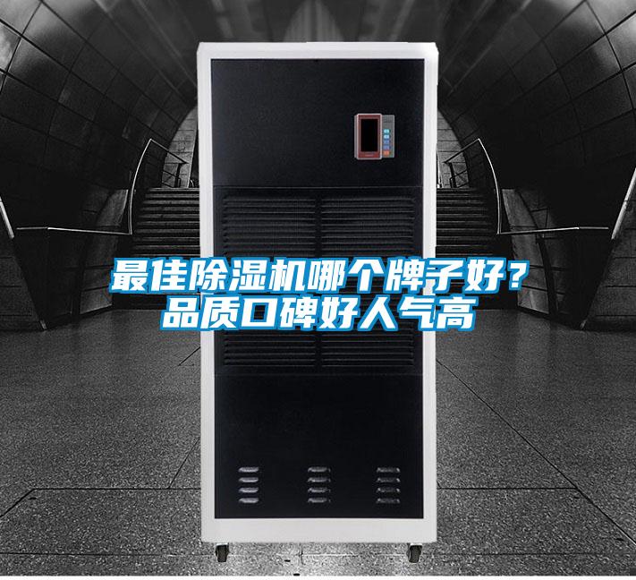 最佳除濕機哪個牌子好？品質口碑好人氣高