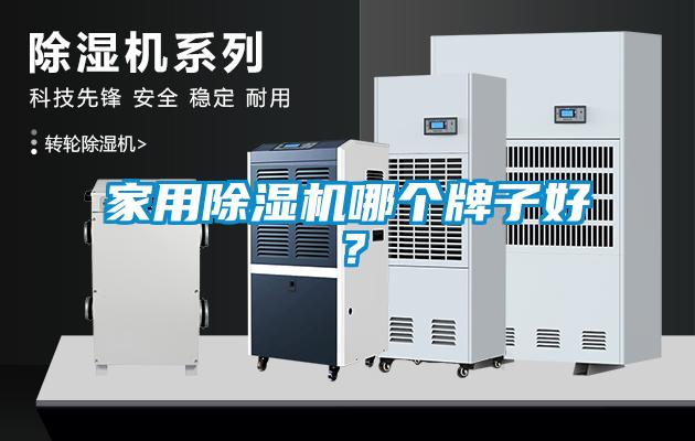 家用除濕機哪個牌子好？