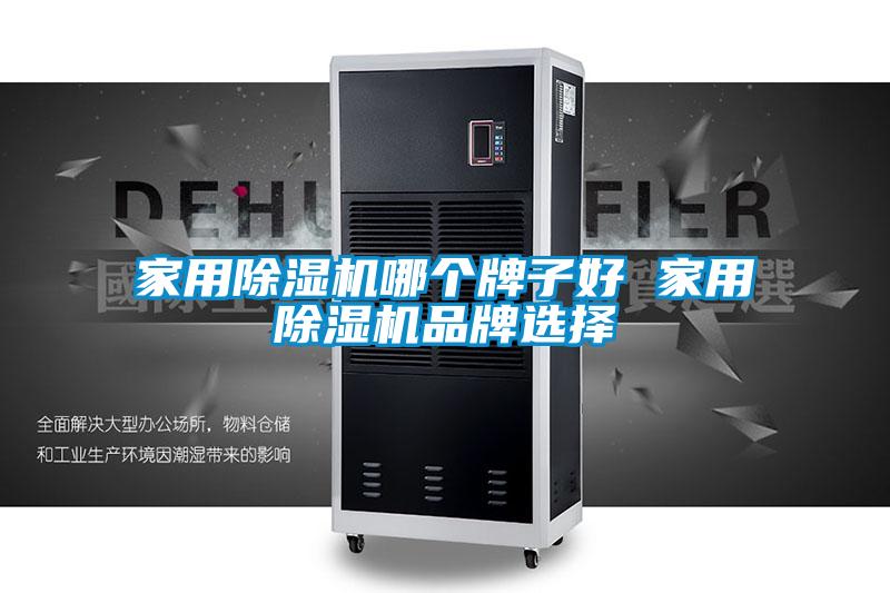 家用除濕機哪個牌子好 家用除濕機品牌選擇